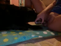 Hot girl fucking her pussy at home lets the dog join in and lick her out